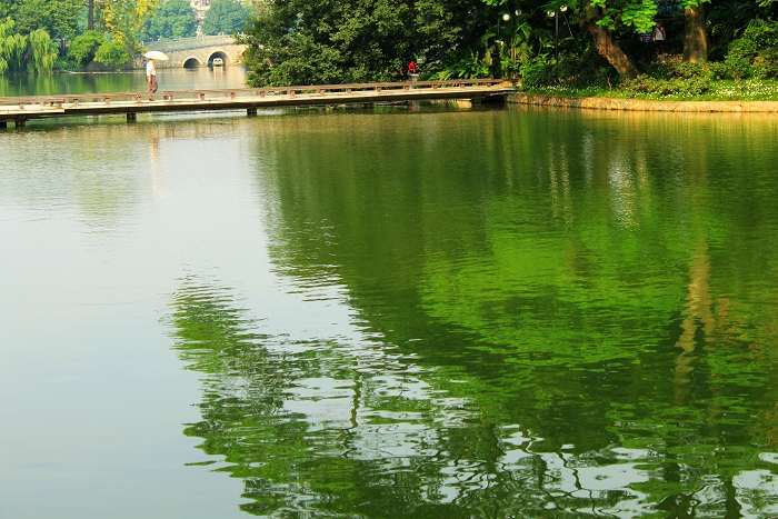 夏日湖景 摄影 卫荷