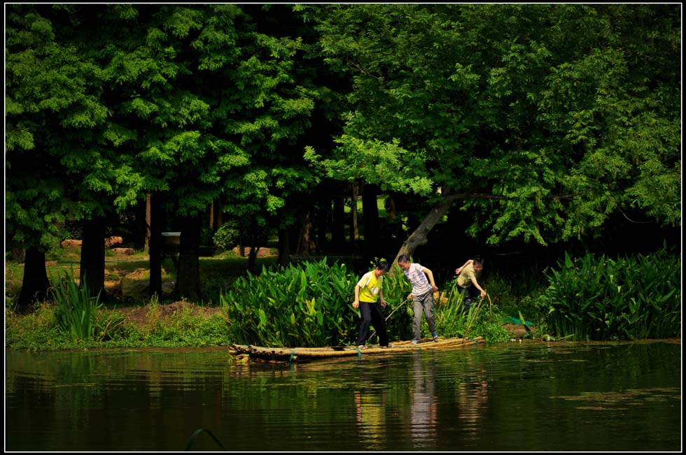 行行摄摄 摄影 lingsu