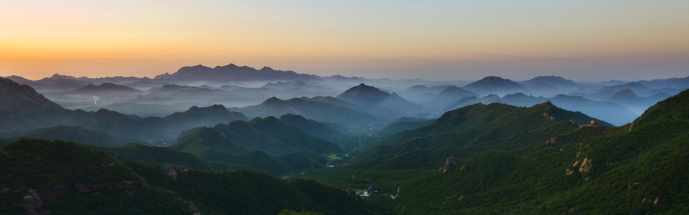 晨韵 摄影 品茗