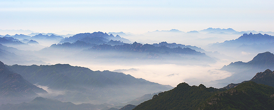 云养青山 摄影 义和团