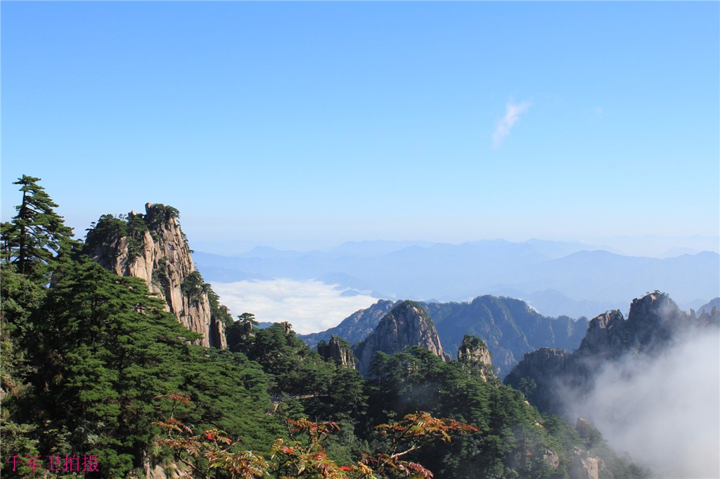 游黄山 摄影 千军卫