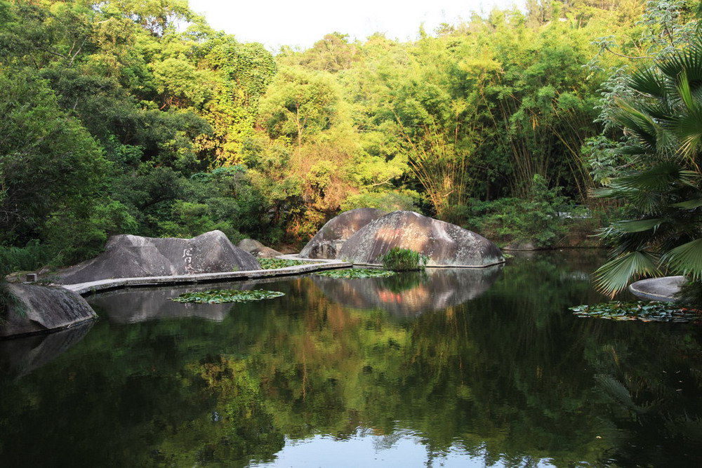 绿景 摄影 黄大为