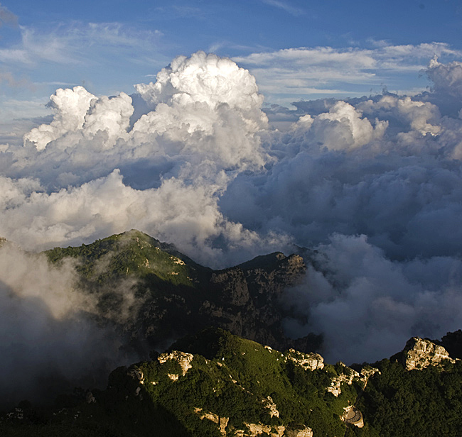 云养青山 摄影 义和团