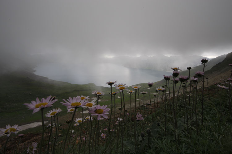 夏日长白山 摄影 影混