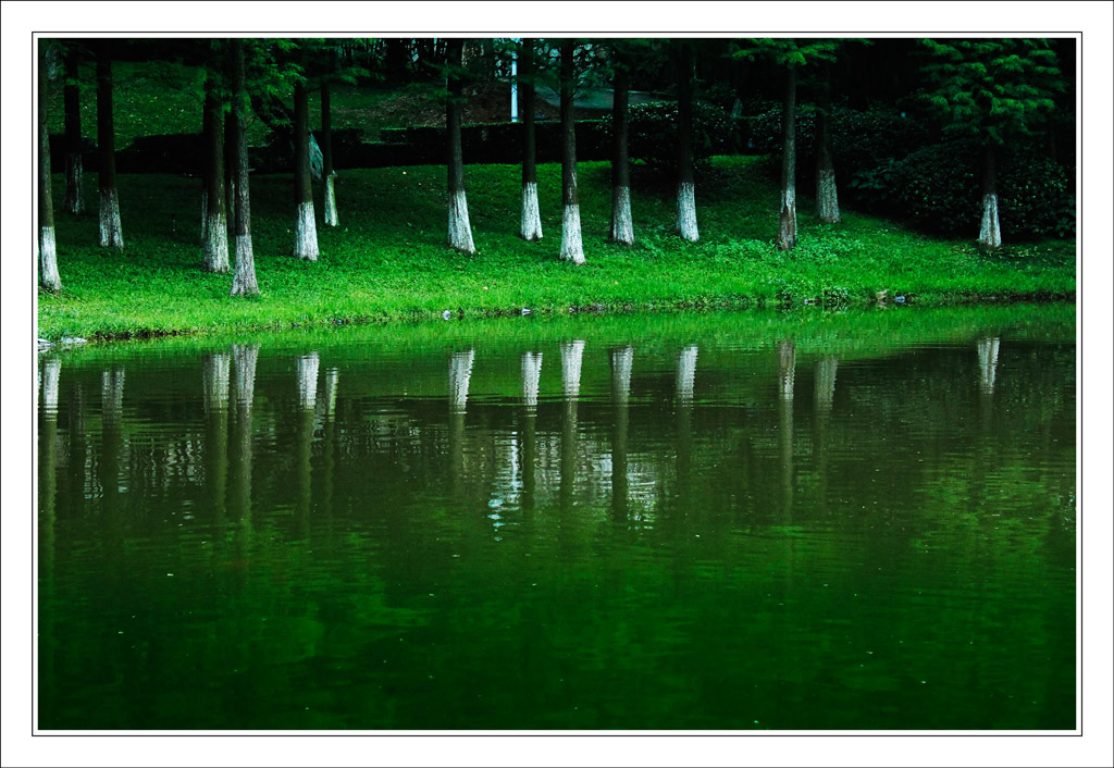 珠海风景.公园一角2 摄影 fanyang