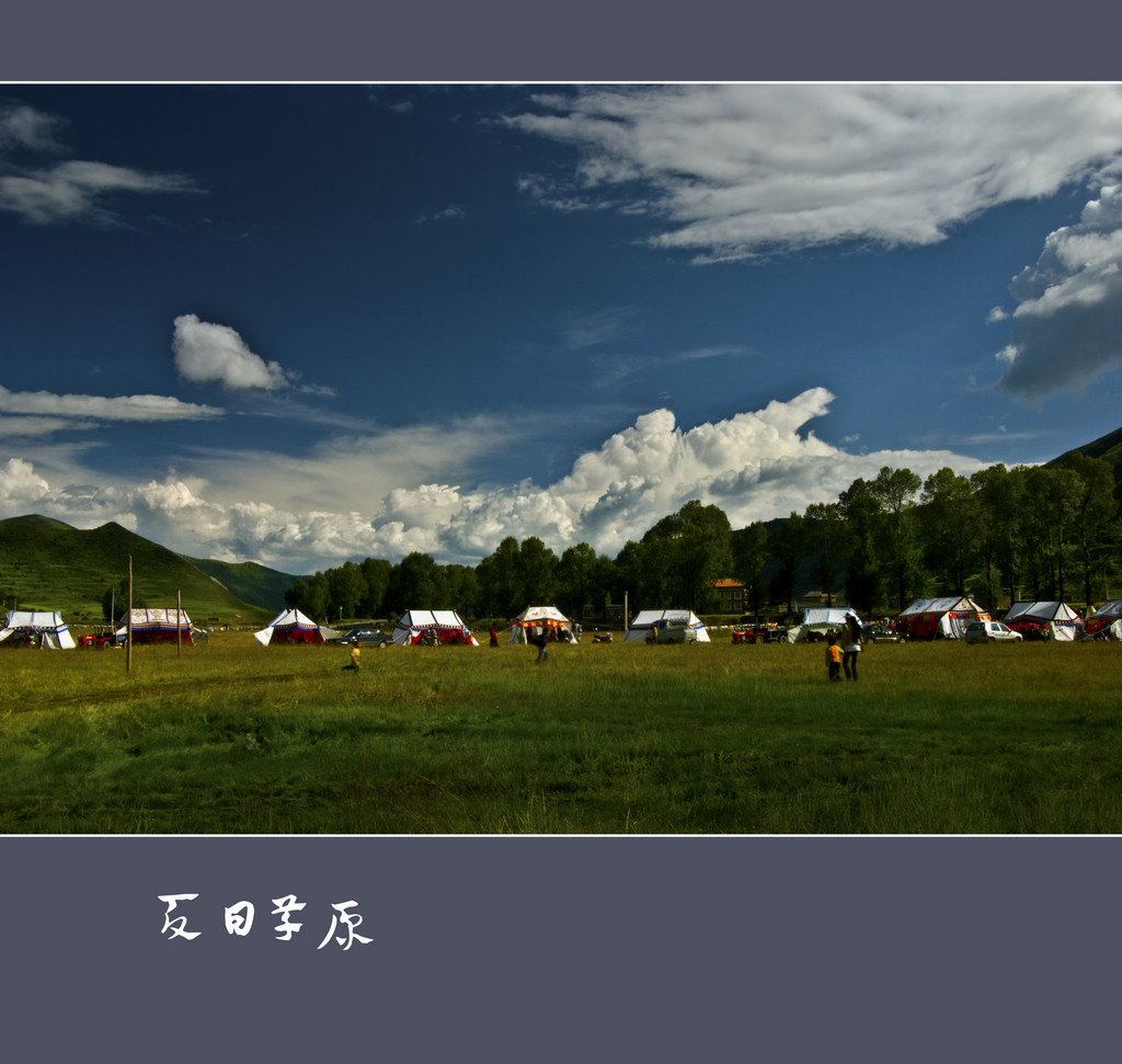 夏日草原 摄影 海纳百川NO.1