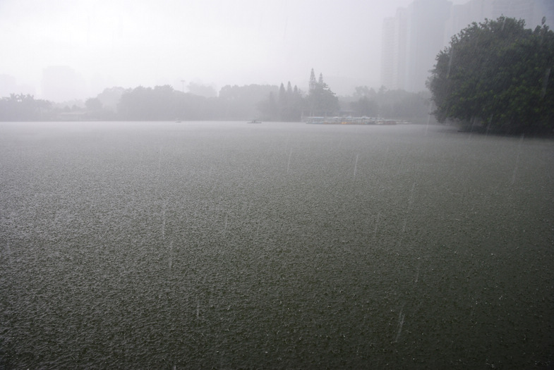 烟雨迷濛 摄影 欲下寒塘