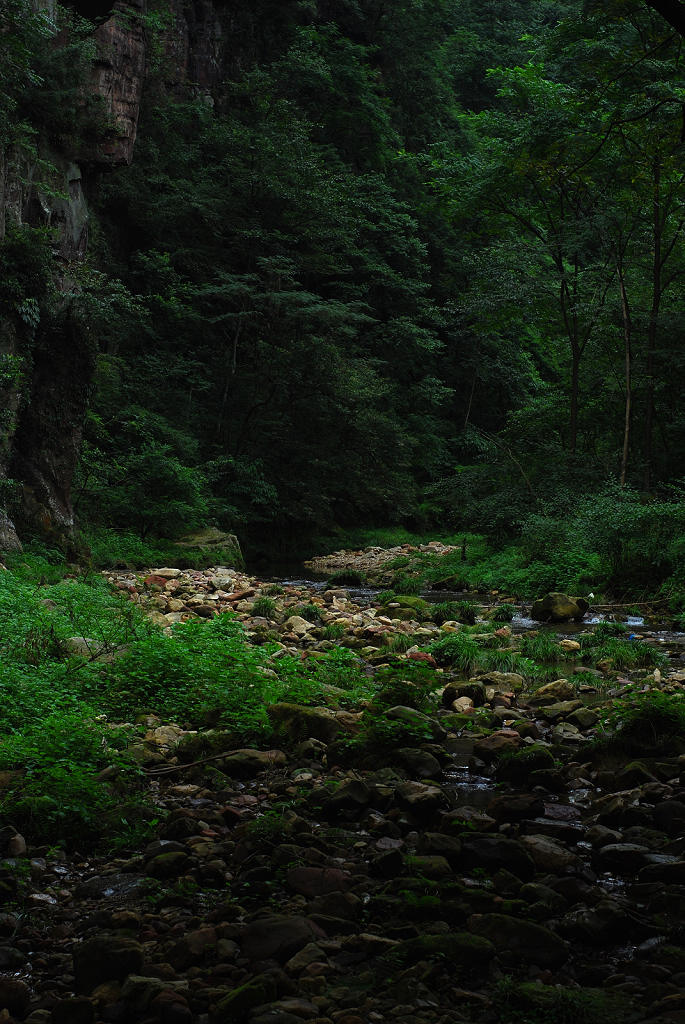 《湘西游记之张家界》 摄影 NH5