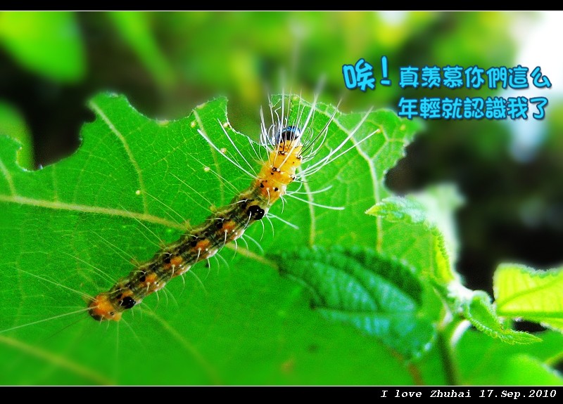 Caterpillar 摄影 andyliu1977