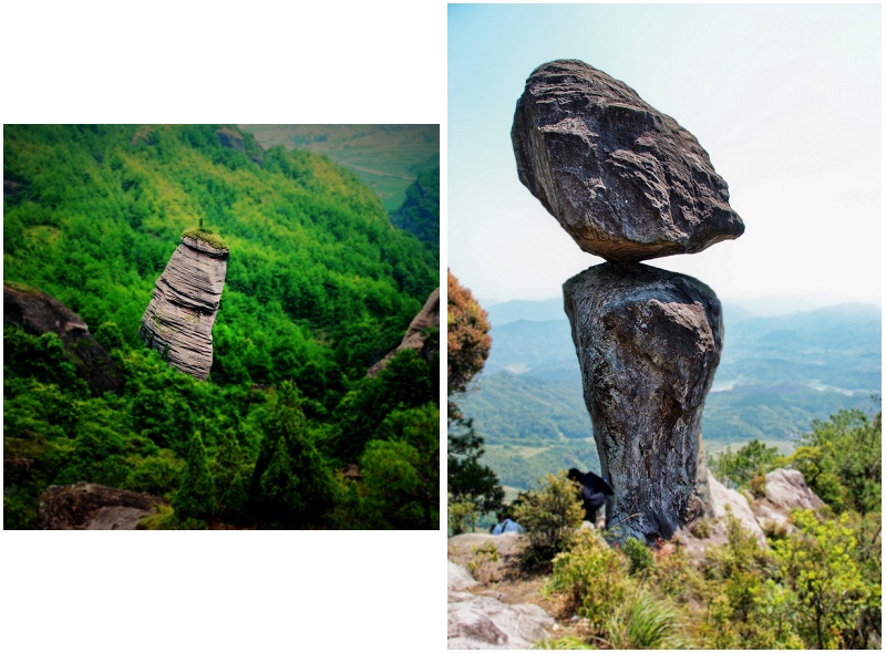 有此一景 摄影 山枣