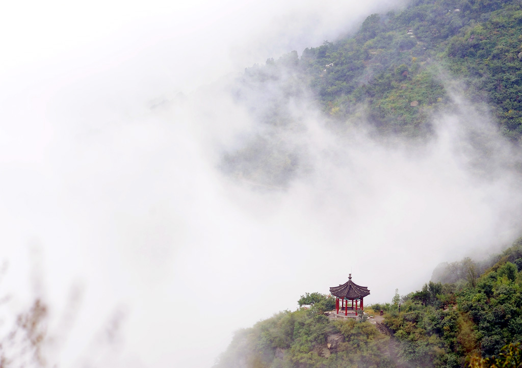 香山晨雾 摄影 侏罗纪