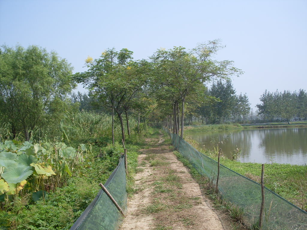 小路 摄影 鸿瑞