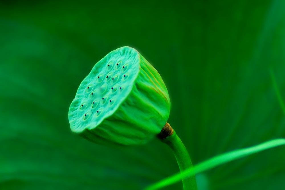 hehua 摄影 神奇四侠