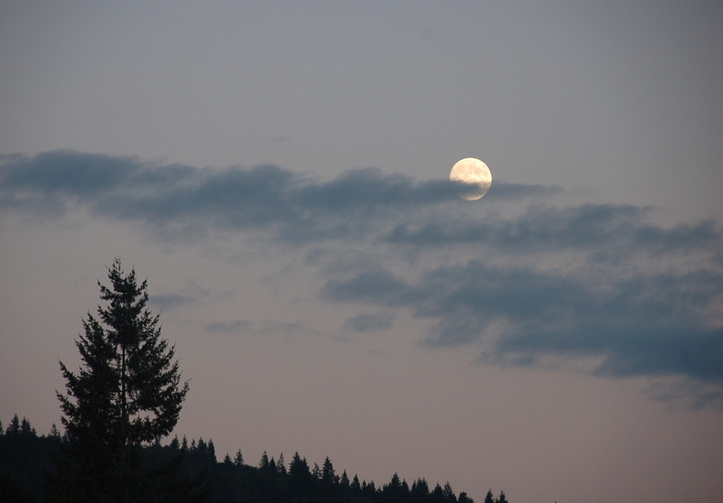 不知天上宫阙，今夕是何年 摄影 seattle