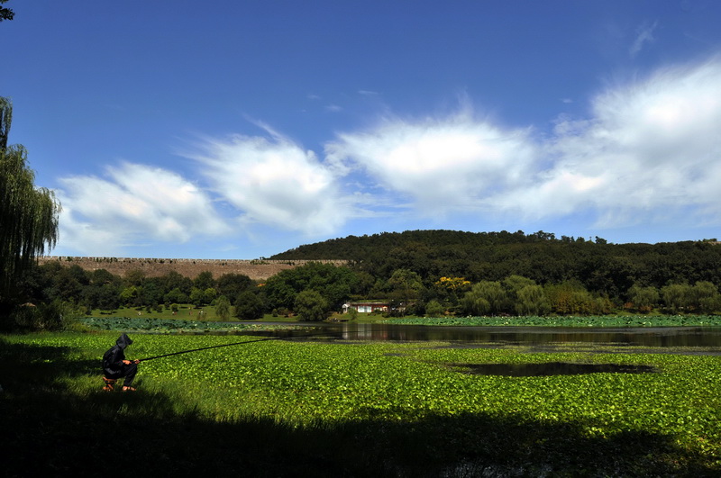 池塘风光 摄影 江南公爵