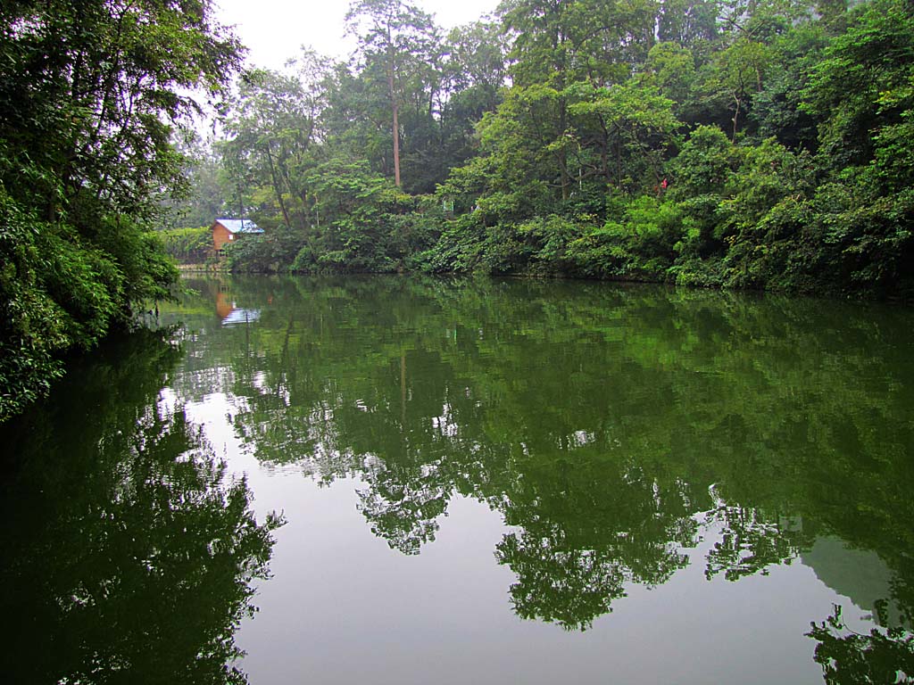 黔灵山公园一景 摄影 成林