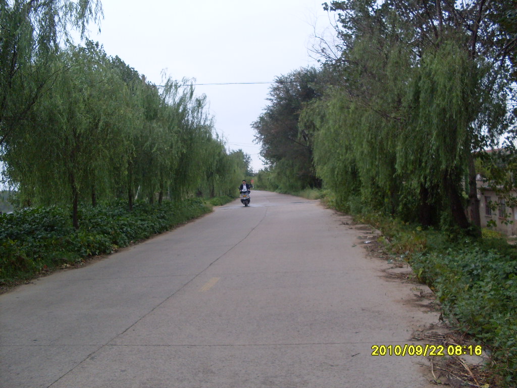 乡村公路 摄影 鸿瑞