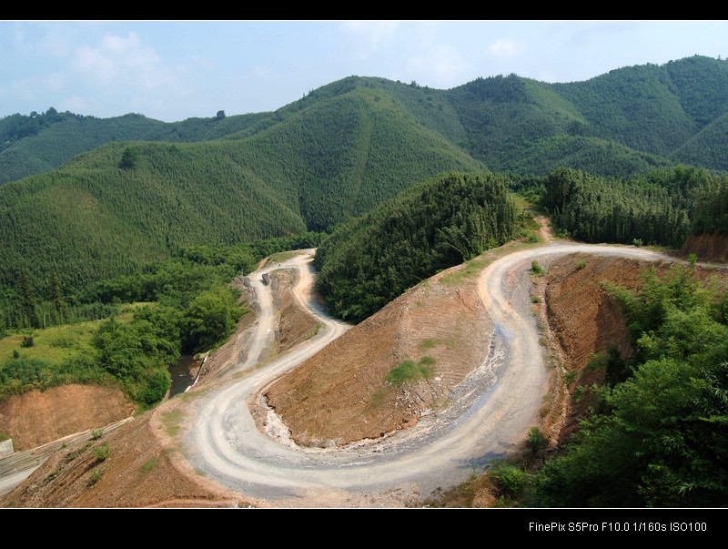 山道弯弯 摄影 竹海大观