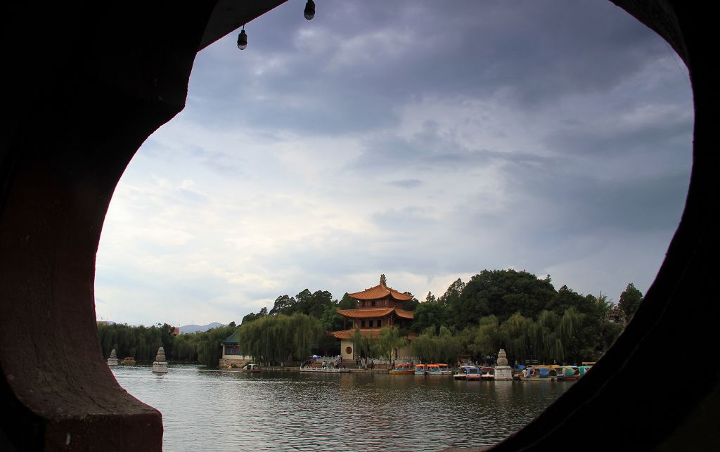 窗外的美丽 摄影 梧桐雨润