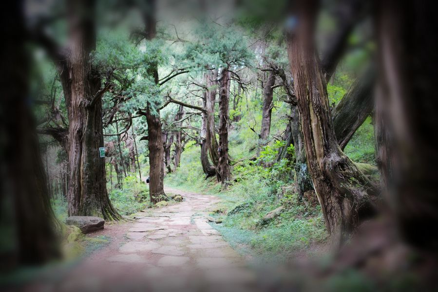 先秦古道--穿越三千年 摄影 游走天地