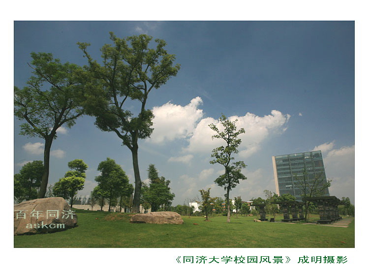 同济大学校园风景：建筑印象 摄影 askcm