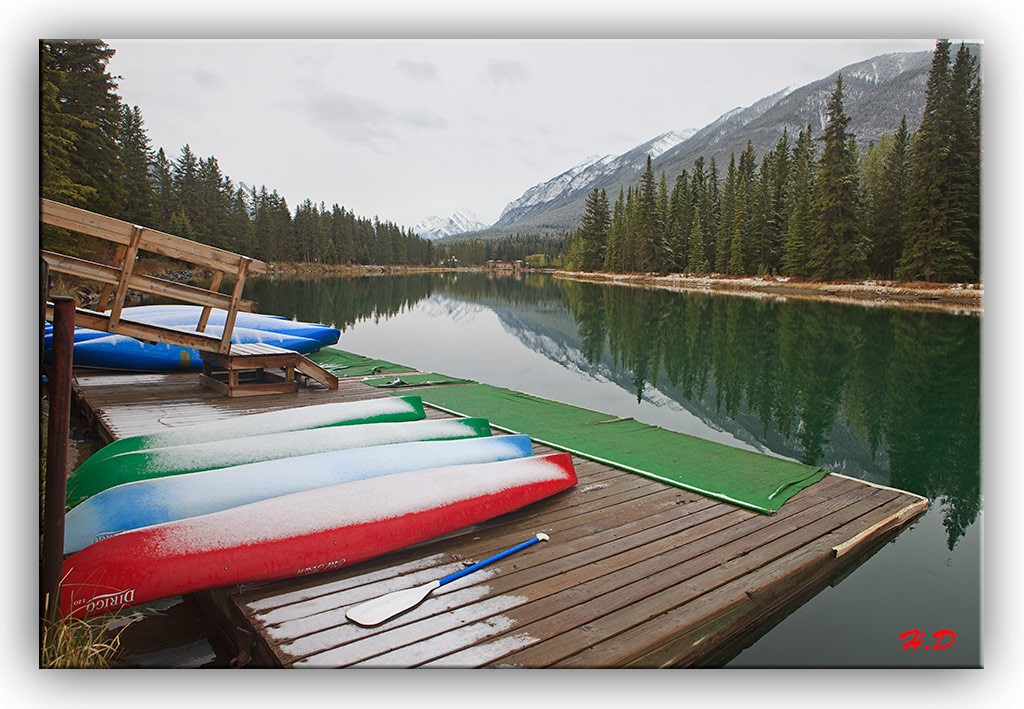 晨渡（Bow River） 摄影 hettet