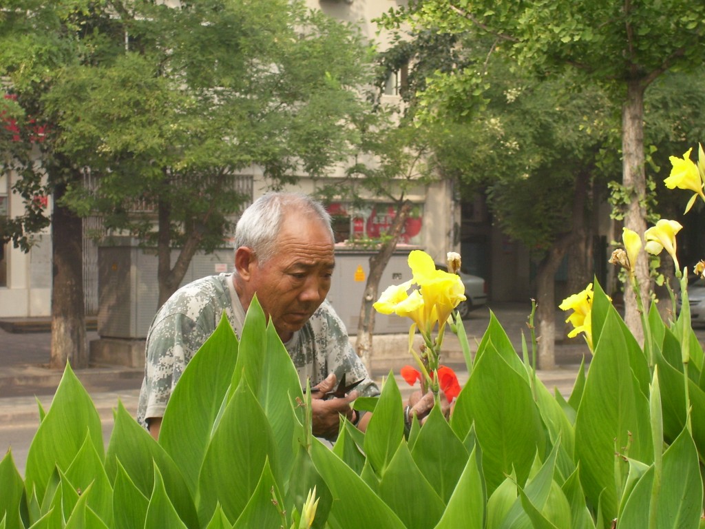 园艺工人 摄影 H.r.Cooper