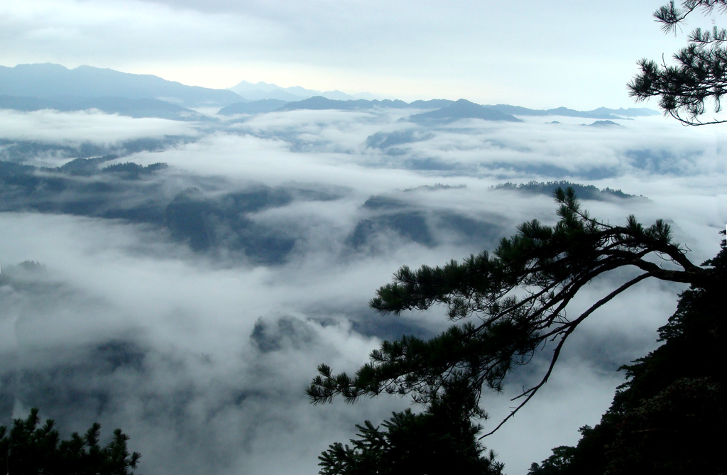 云雾井冈山 摄影 康慨