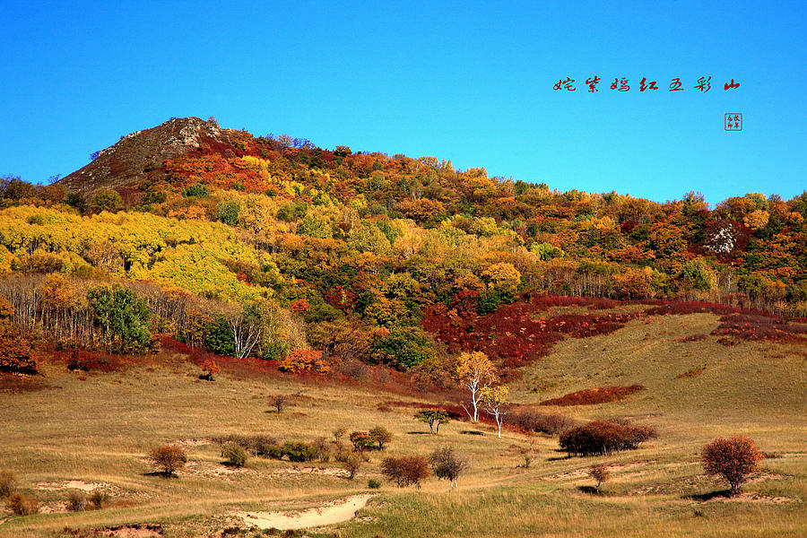 姹紫嫣红五彩山 摄影 草原牧羊女