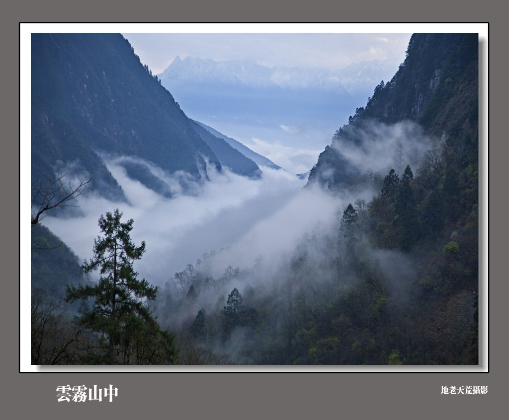 云雾山中 摄影 地老天荒