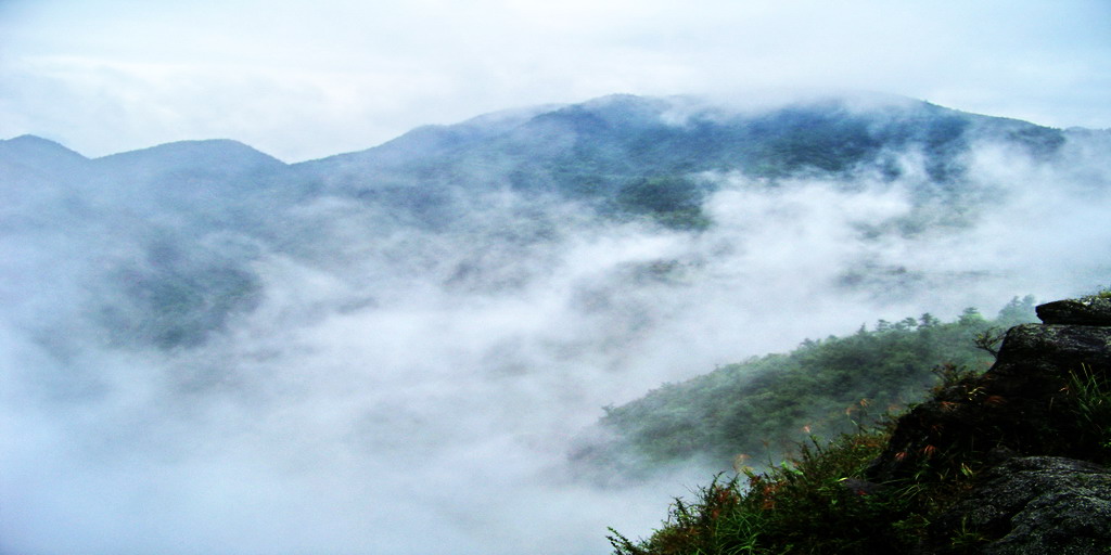 雨后！ 摄影 枫山红叶子