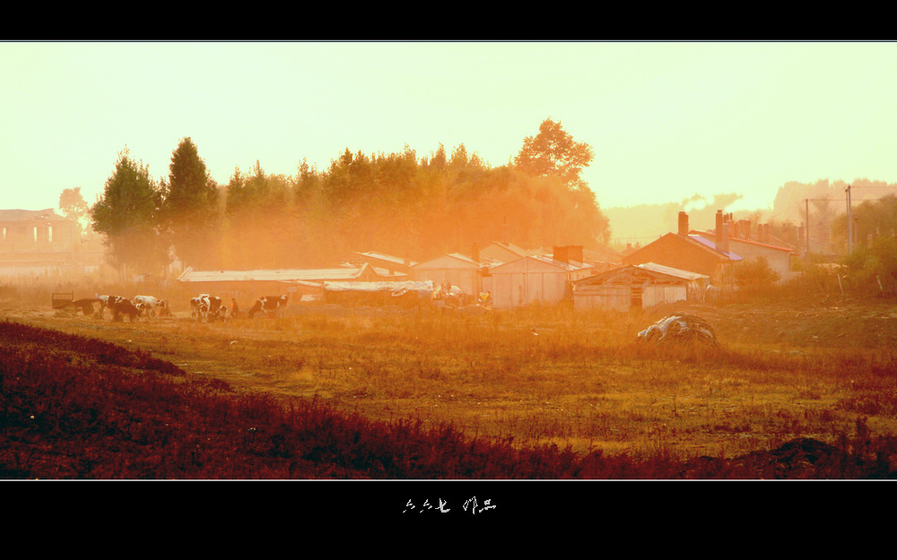 夕阳下的村庄 摄影 六六七