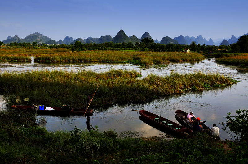 会仙湿地 摄影 baicuan