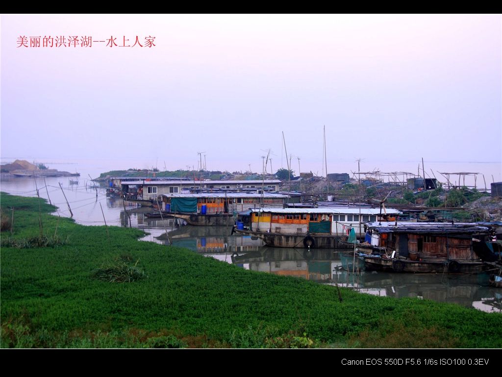 水上人家 摄影 独唱一首歌