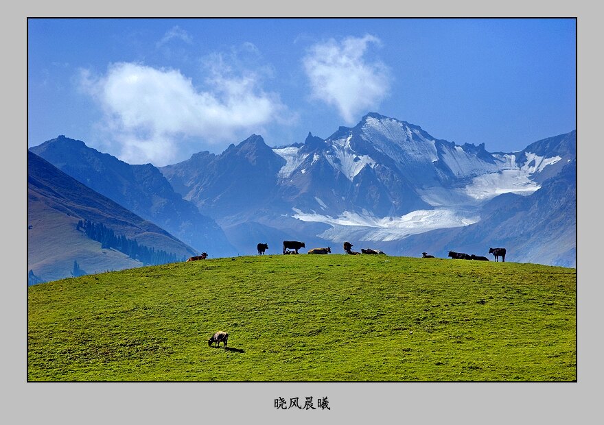 《又见那拉提》——4 摄影 晓风晨曦