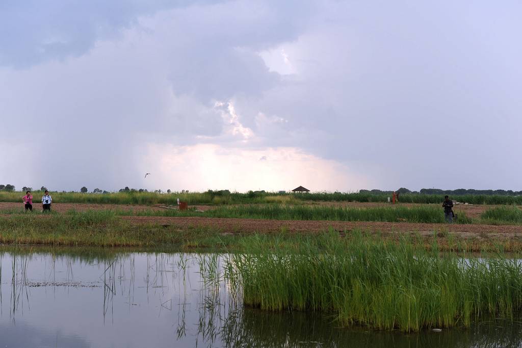 扎龙湿地2 摄影 秋叶雨荷