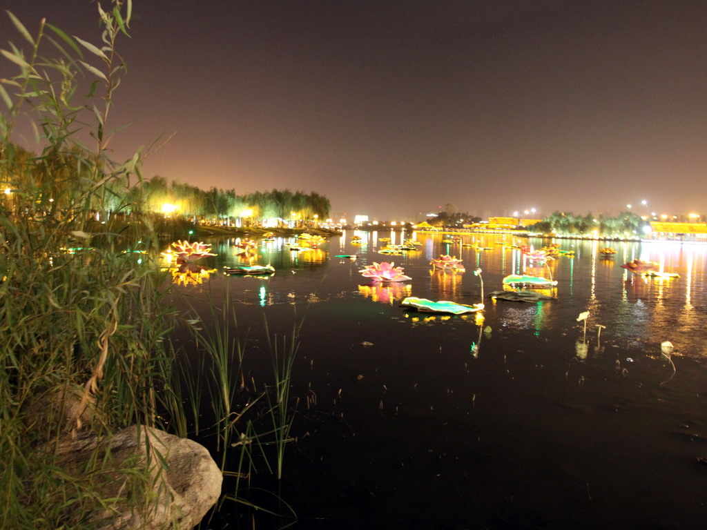 曲江南湖夜景 摄影 老胖子学习