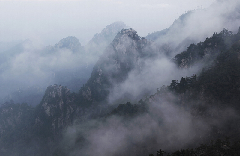 水墨尧山 摄影 刺梅