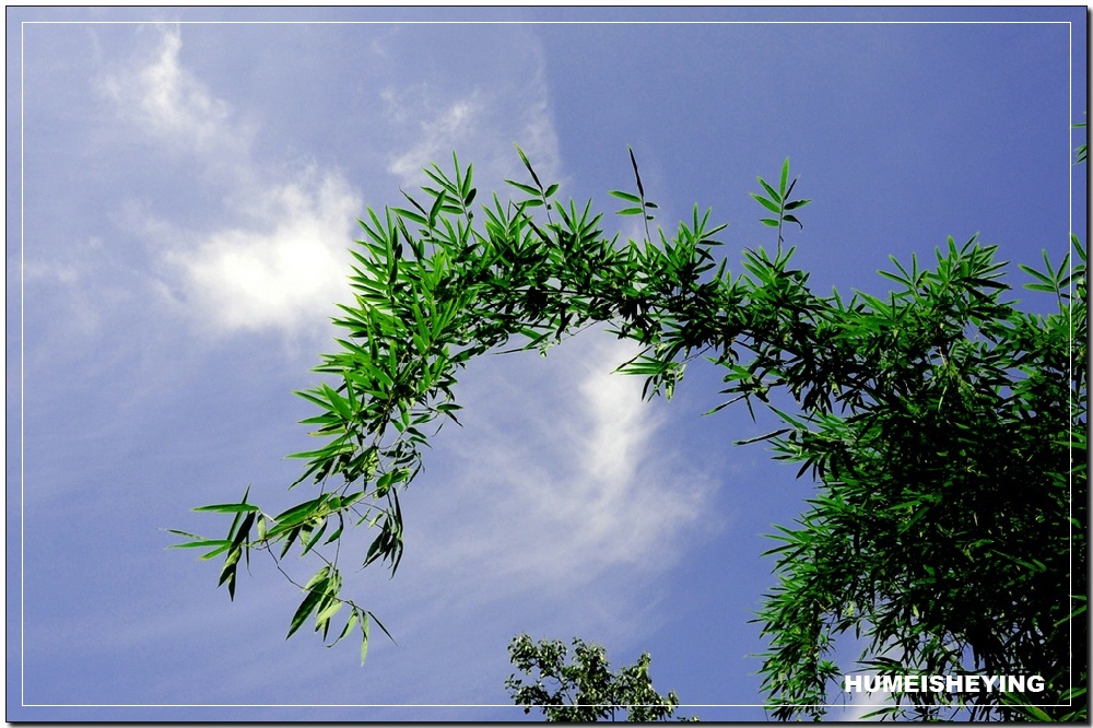 长沙的天空如此美丽（3） 摄影 虎眉