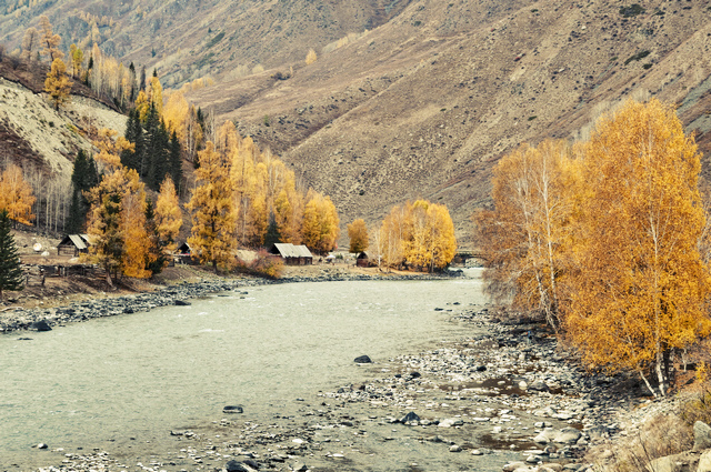 北疆 1 摄影 liold