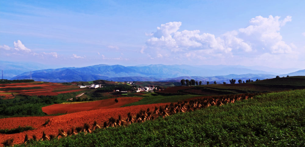 彩雲之南——红土地 摄影 犇牛2010