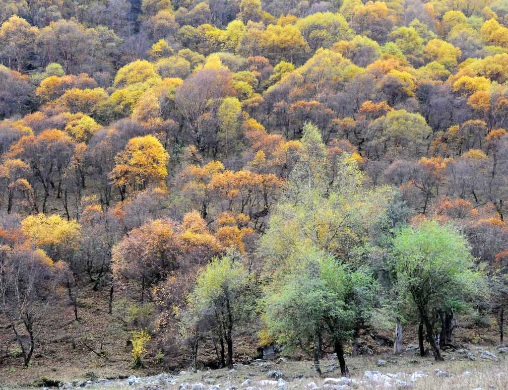 青海北山风光之三 摄影 祁连山人