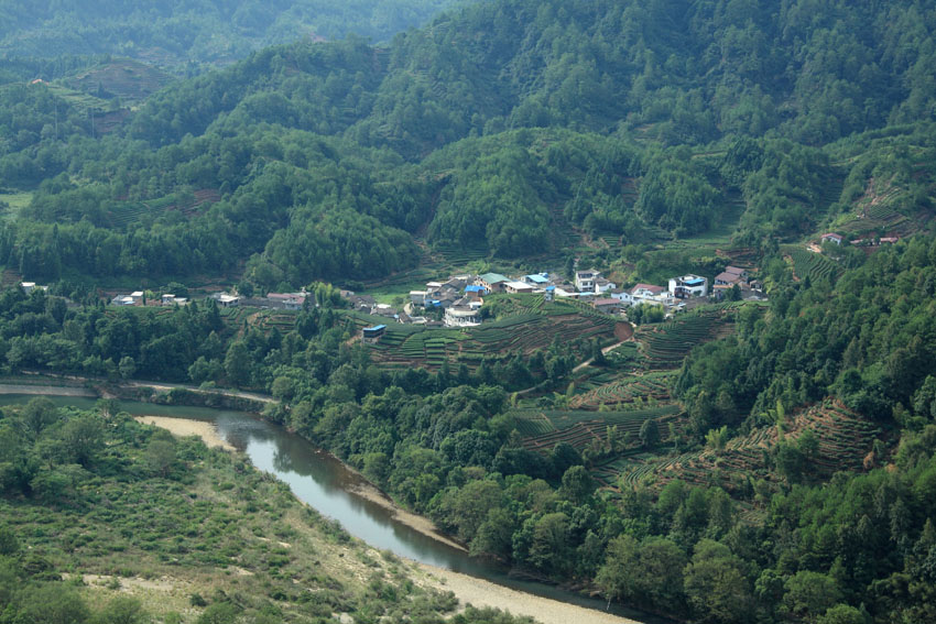 武夷山岩茶村 摄影 老过