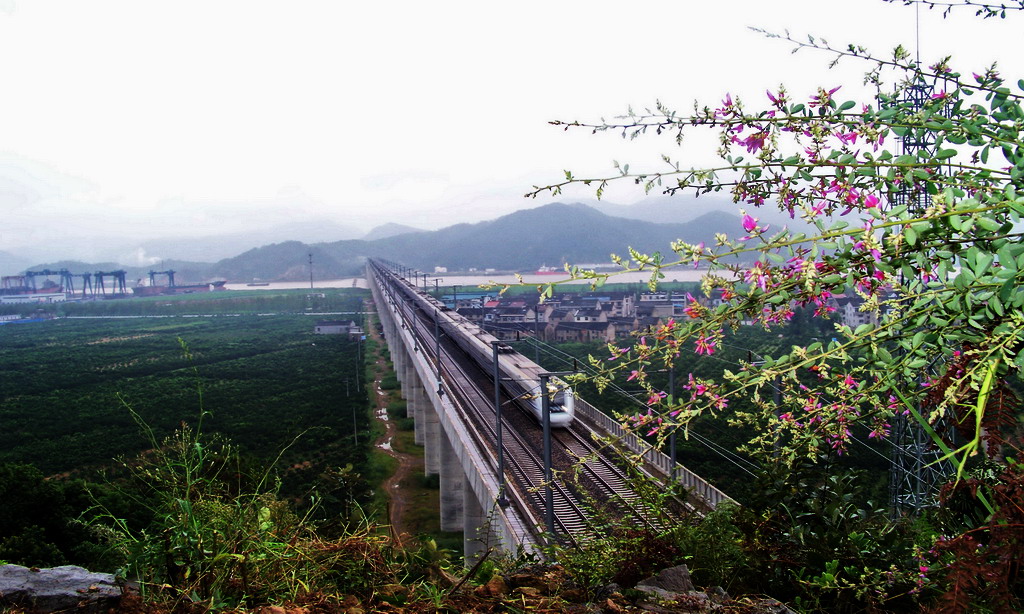 跨过灵江的动车！ 摄影 枫山红叶子