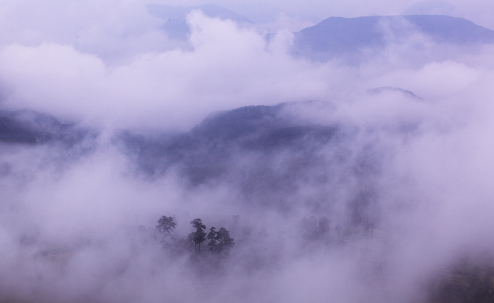 雾中杨丰山 摄影 chau