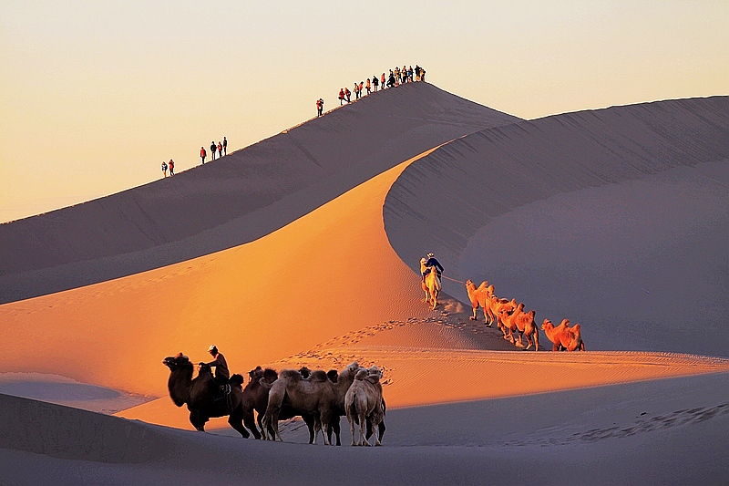 沙漠驼队 摄影 峡谷