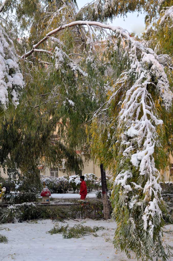 雪 摄影 海的情怀