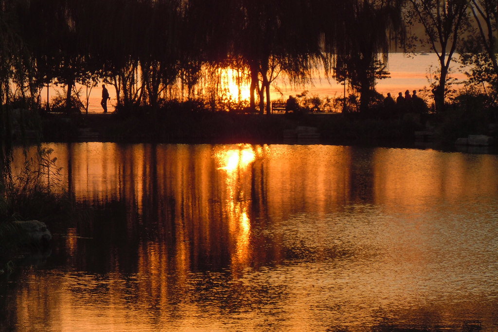 沐浴夕阳 摄影 又见垂杨