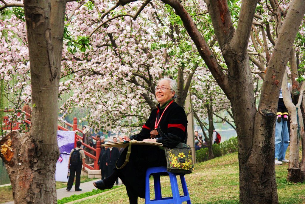 赏花人....海棠花溪 摄影 冬宝