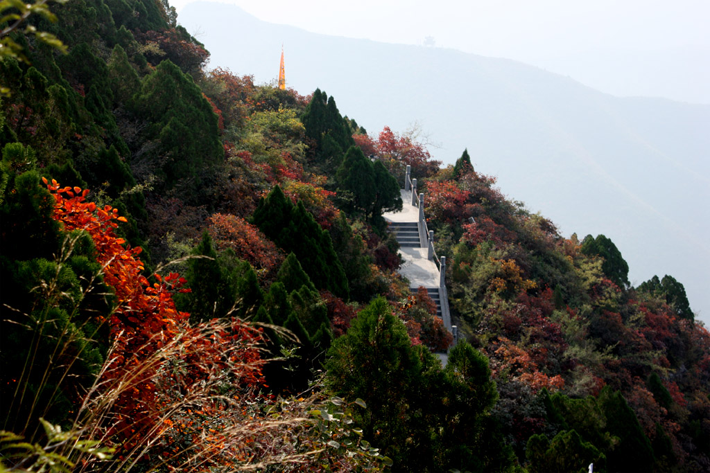 珏山栌红02 摄影 晋风